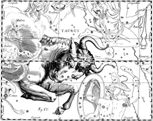 Asterism Prints: Taurus Constellation, Zodiac Sign, Hevelius