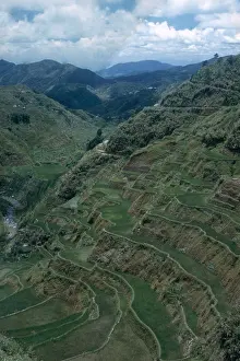 Production Prints: Terraces of Rice