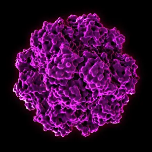 Enzyme Prints: Tetrahedral Protein Cage
