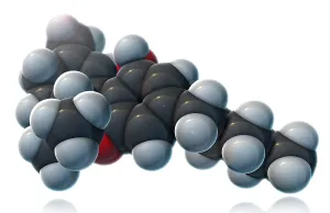 Atomic Prints: THC Molecular Model