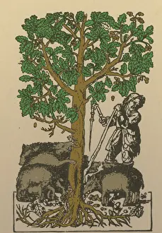 Sacred Prints: 'The Best Ham Grows On Oaks'