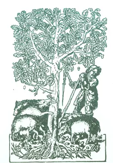 Sacred Prints: 'The Best Ham Grows On Oaks'