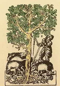16th Prints: 'The Best Ham Grows On Oaks'