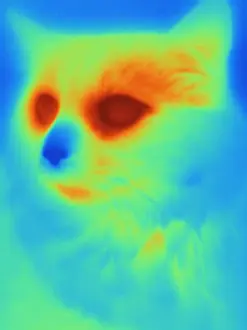 Nature, History, Science Prints: Thermogram of a cat