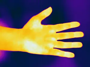 Body Prints: Thermogram of a Hand