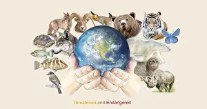 Concept Prints: Threatened and Endangered Species