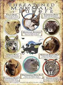 Design Prints: Threatened Mammals of Europe