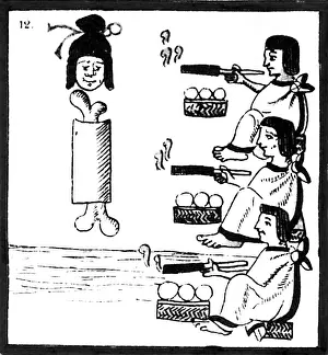 Codex Prints: Tobacco In Aztec Ritual, Florentine Codex