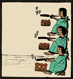 Codex Prints: Tobacco In Aztec Ritual, Florentine Codex