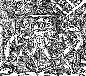 Tribe Prints: Tobacco Plant, Early Syphilis Treatment, 1558