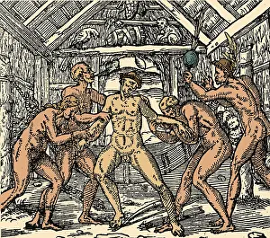 Tribe Prints: Tobacco Plant, Early Syphilis Treatment, 1558
