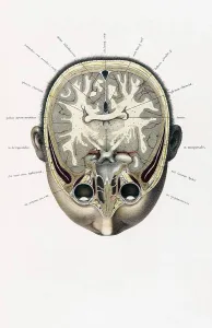 Cross Prints: Topographisch-anatomischer, Braune, 1872