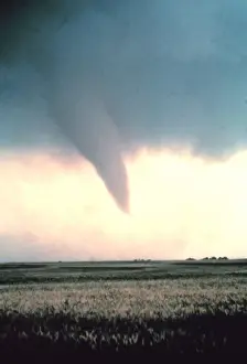 Record Prints: Tornado