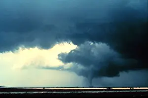 1981 Prints: Tornado