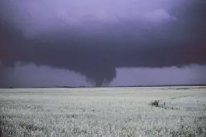 Cyclone Prints: Tornado