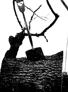 Aftermath Prints: Tornado Damage, 1896