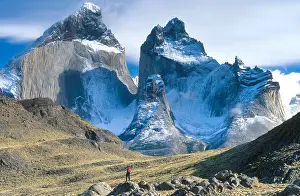Nature Prints: Torres del Paine