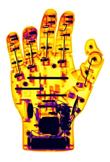 Hand Prints: Toy Robotic Hand X-Ray
