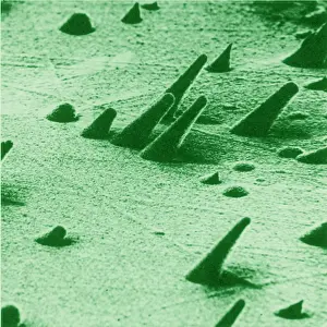 Detector Prints: Tracks from cosmic rays, magnified 800 times