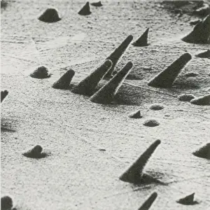 Track Prints: Tracks from cosmic rays, magnified 800 times