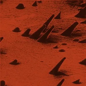 Track Prints: Tracks from cosmic rays, magnified 800 times
