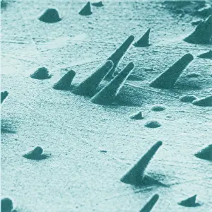 Track Prints: Tracks from cosmic rays, magnified 800 times