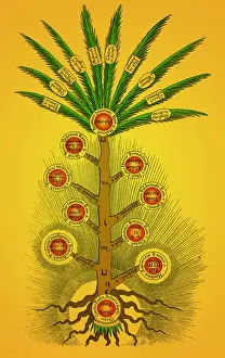 Jewish Prints: Tree of Life, Etz haChayim