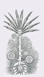 Jewish Prints: Tree of Life, Etz haChayim