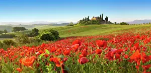 Landscape Prints: Tuscany in Spring