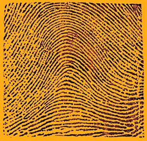 1900 Prints: Typical Arch Pattern, 1900