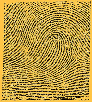 Typical Loop Pattern, 1900