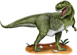 Extinct Prints: Tyrannosaurus Rex
