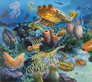 Evolutionary Prints: Underwater Paleozoic Landscape