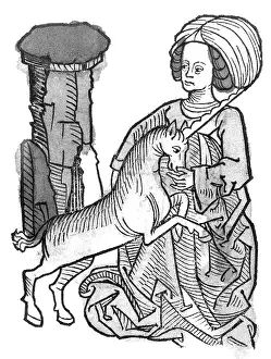 Folklore Prints: Unicorn, Legendary Creature