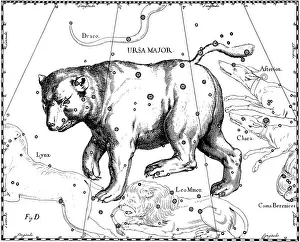 Asterism Prints: Ursa Major Constellation, Hevelius, 1687