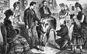 Cattle Prints: Vaccinating Against Smallpox with Cowpox Virus