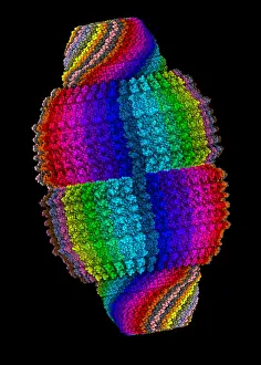 Vault Cytoplasmic Ribonucleoprotein