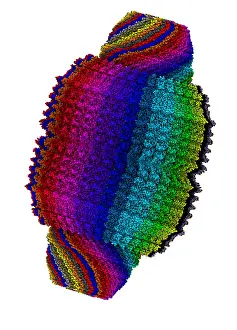 Complex Prints: Vault Cytoplasmic Ribonucleoprotein