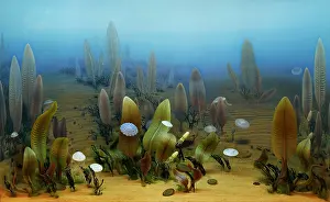 Flat Prints: Vendian marine life