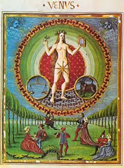 Beauty Prints: Venus, Ruler of Taurus and Libra