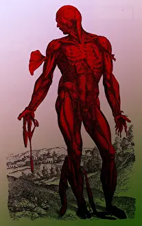 Humani Prints: Vesalius De humani Corporis Fabrica
