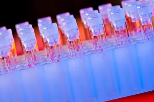 Tubes Prints: Vials of Samples
