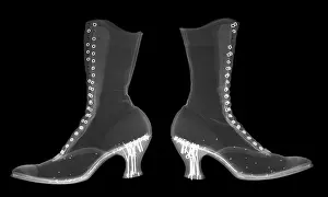 White Prints: Victorian Ladies Boots