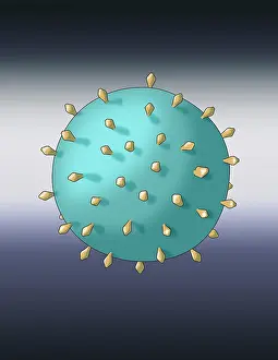 Pandemic Prints: Virus Shape, Complex, Illustration