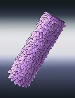 Pandemic Prints: Virus Shape, Polyhedral, Illustration