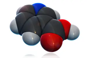 Vitamin Prints: Vitamin B3, Molecular Model