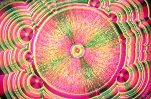 Vitamin Prints: Vitamin C Crystal