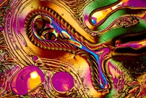 Pattern Prints: Vitamin C Crystal, Colorful Microscope Photo