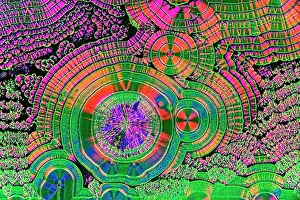 Medical Prints: Vitamin C Crystals, light micrograph