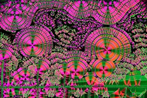 Illumination Prints: Vitamin C Crystals, Spikeberg Illumination